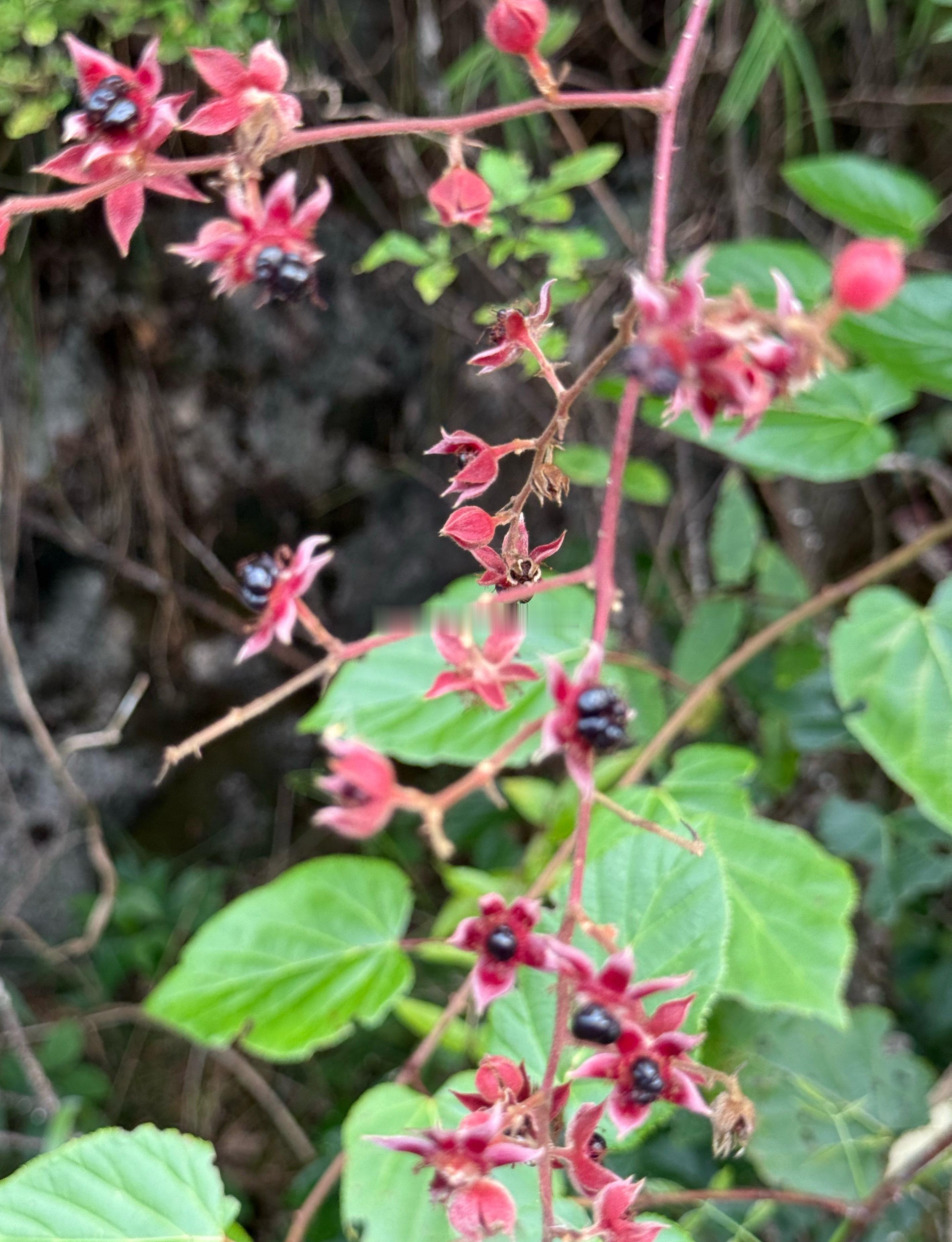 A股：大幅缩量却普涨，今天周二又要迎来暴风雨？超前答案来了昨天市场缩量超2200
