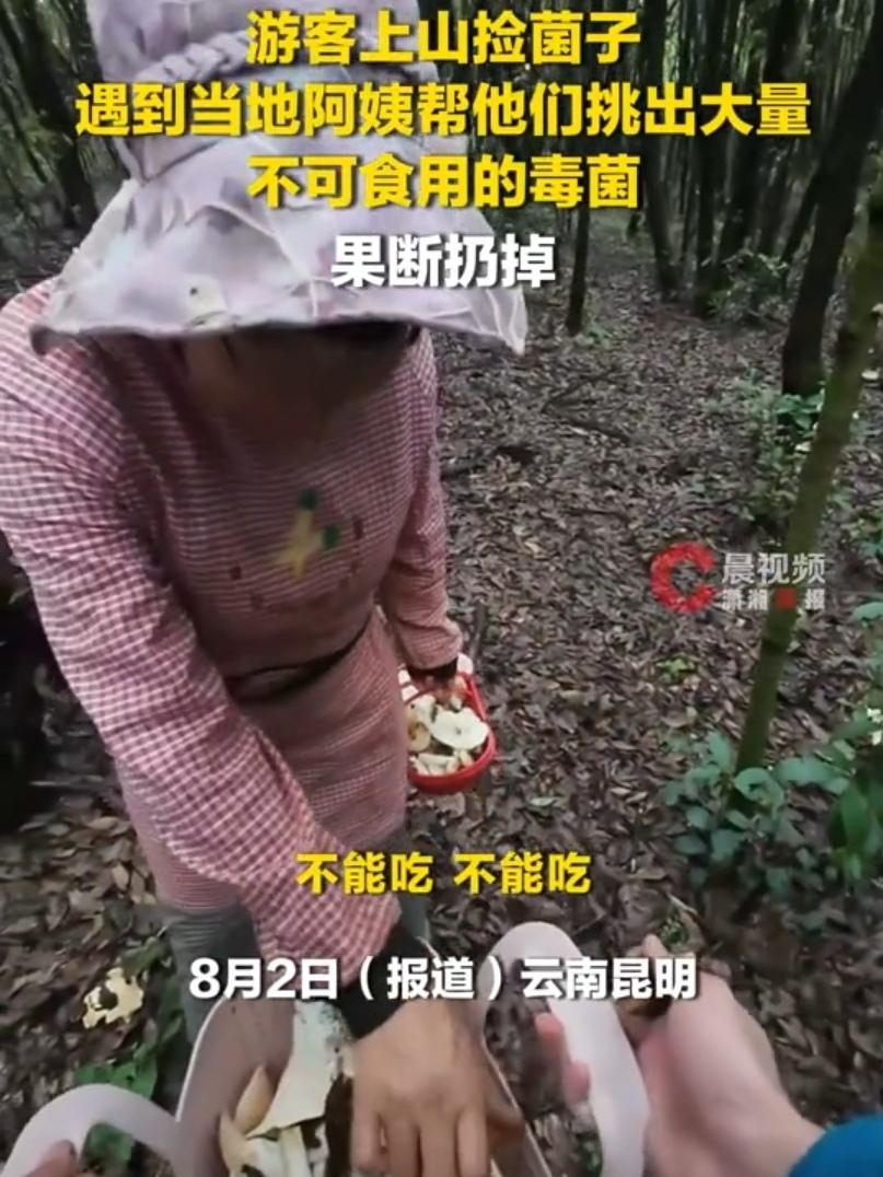 “笑不活了！”云南，两名游客上山捡菌子，偶遇一位当地阿姨，就让阿姨帮忙挑毒菌，不