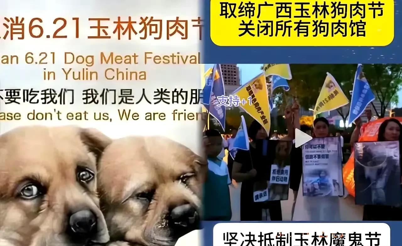 打脸了！玉林狗肉节爱狗人士成群结队跑去抗议，本想着能让当地人放下筷子，可现实却狗