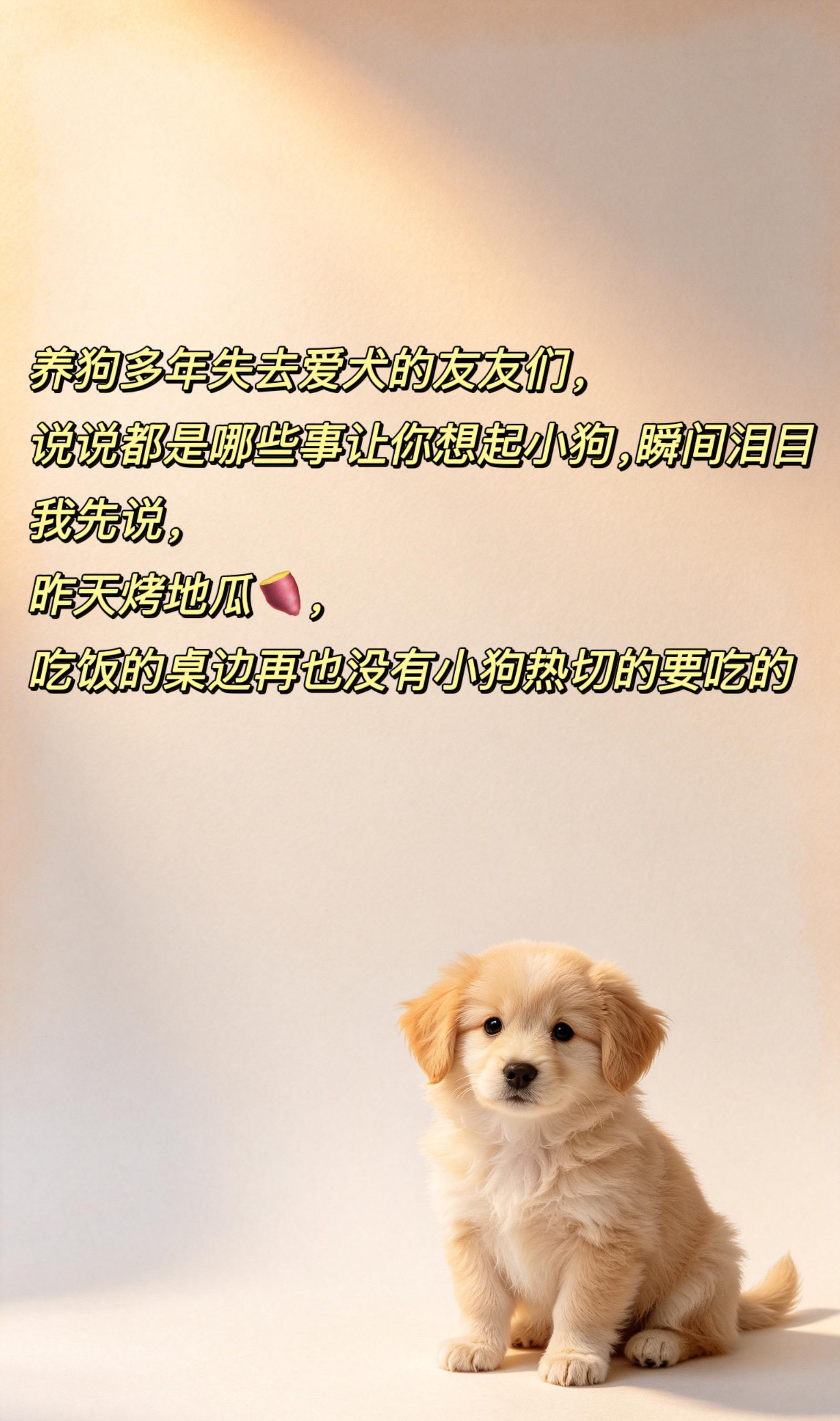 我不敢想象，当我在路上看见一只和我的狗长得像的大金毛，我会怎样