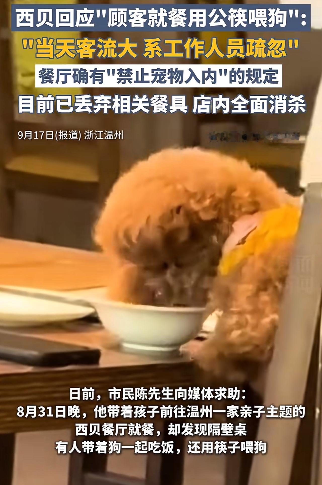 这撒过尿的火锅和用来喂狗的筷子，到底哪个更脏呢？最近温州某西贝餐厅“公筷喂狗”事