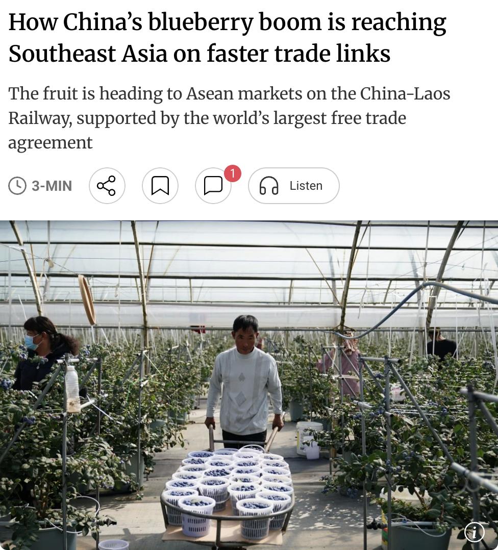 外媒：中国蓝莓出口激增，借中老铁路快速打入东南亚市场中国新鲜蓝莓出口量大幅攀