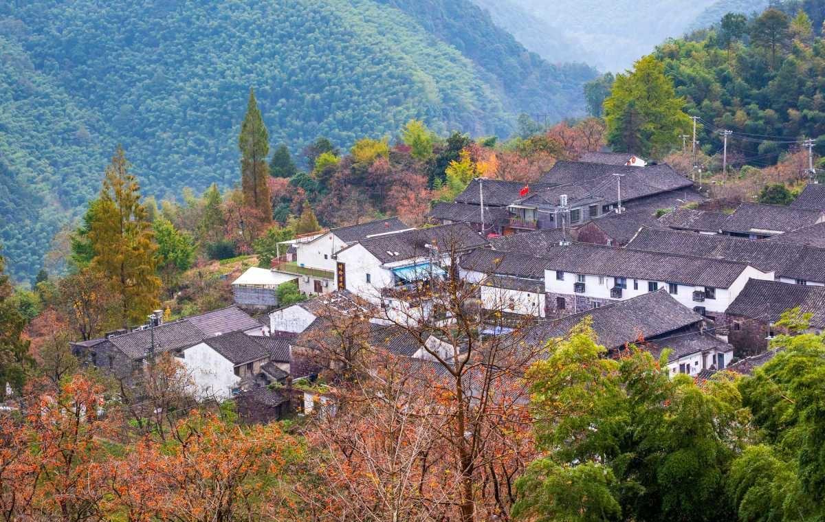 据说宁波的街头大屏又在搞事情了！“对不起我不能陪你过秋天了，因为我是宁波人”“宁