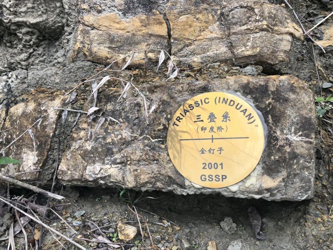 中国11颗“金钉子”，“钉”住了地球几十亿年的记忆！ 不了解的人可能以为，“