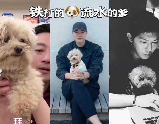 这条狗是赢家？[捂脸哭][捂脸哭][捂脸哭]马筱梅出轨张颖颖发文怼马筱梅​​​