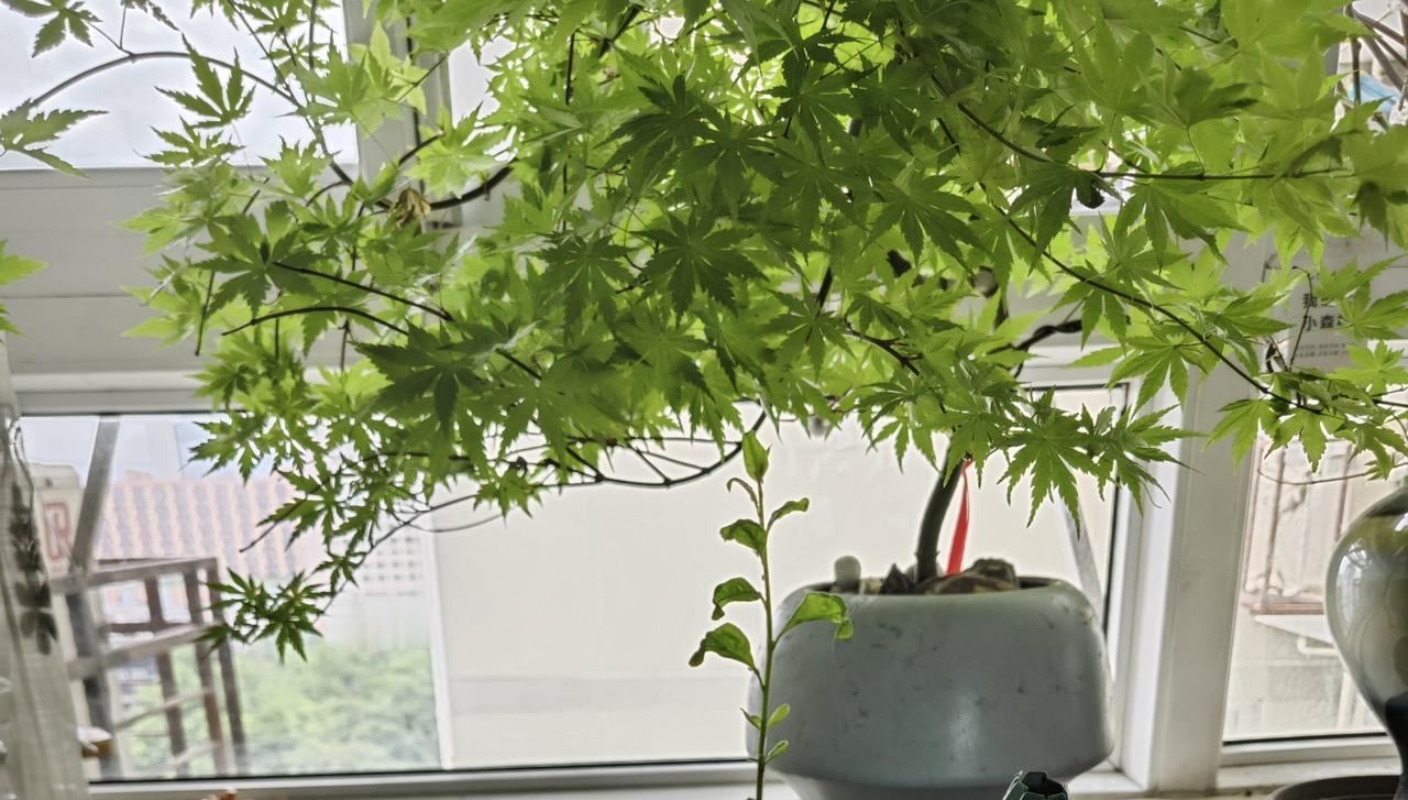十万亿俱乐部，浙江就差最后一脚广东、江苏、山东已全是“十万亿大佬”。浙江呢？