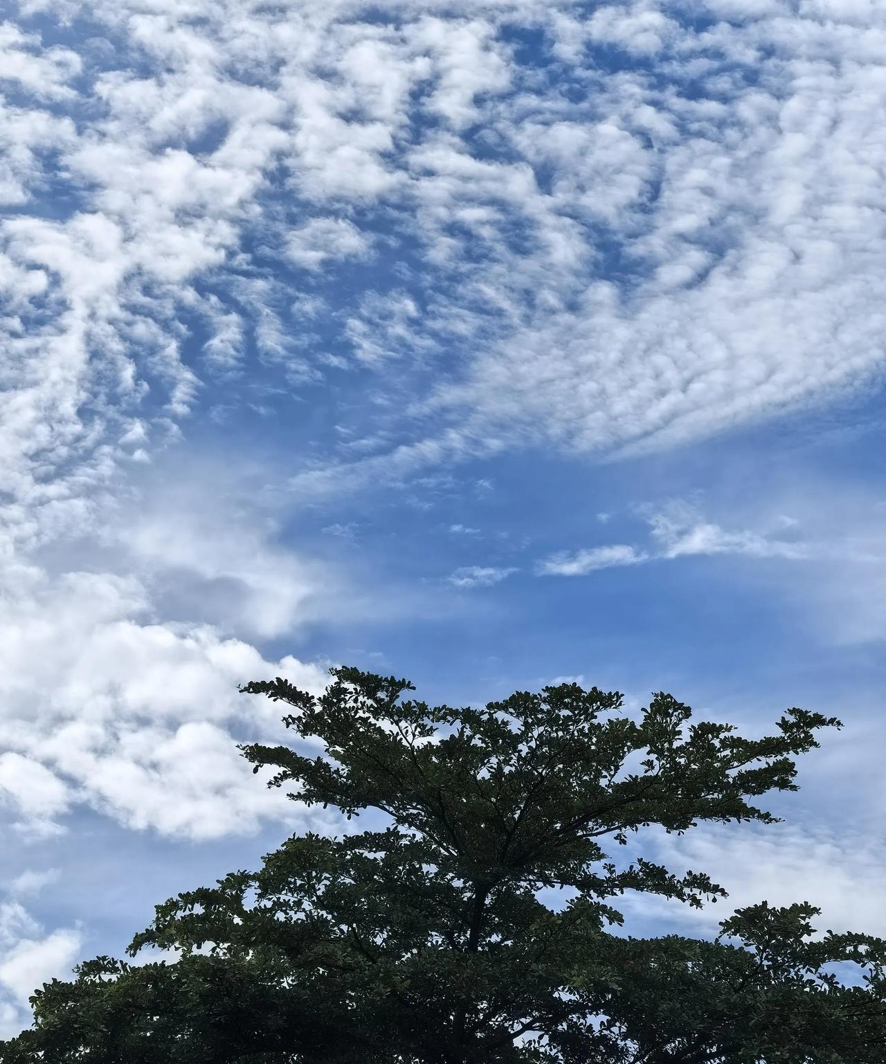 年轻人不让爷爷奶奶带娃是对的。昨天在电梯里看到一对儿爷孙俩，孙子想吃面包，面包
