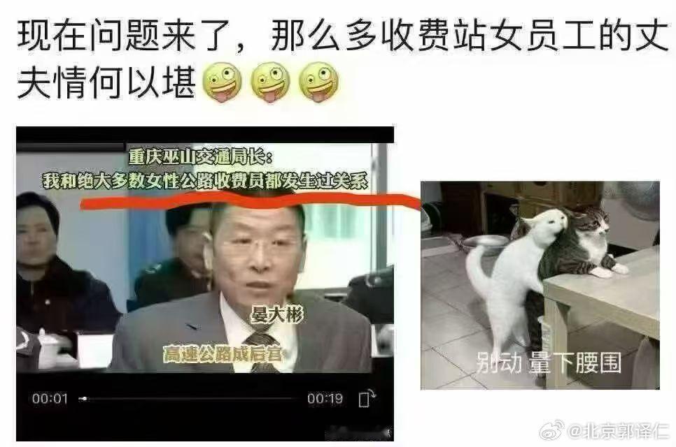 晏大彬（1962年－2010年1月15日），原重庆巫山交通局局长，兼任巫山县长江