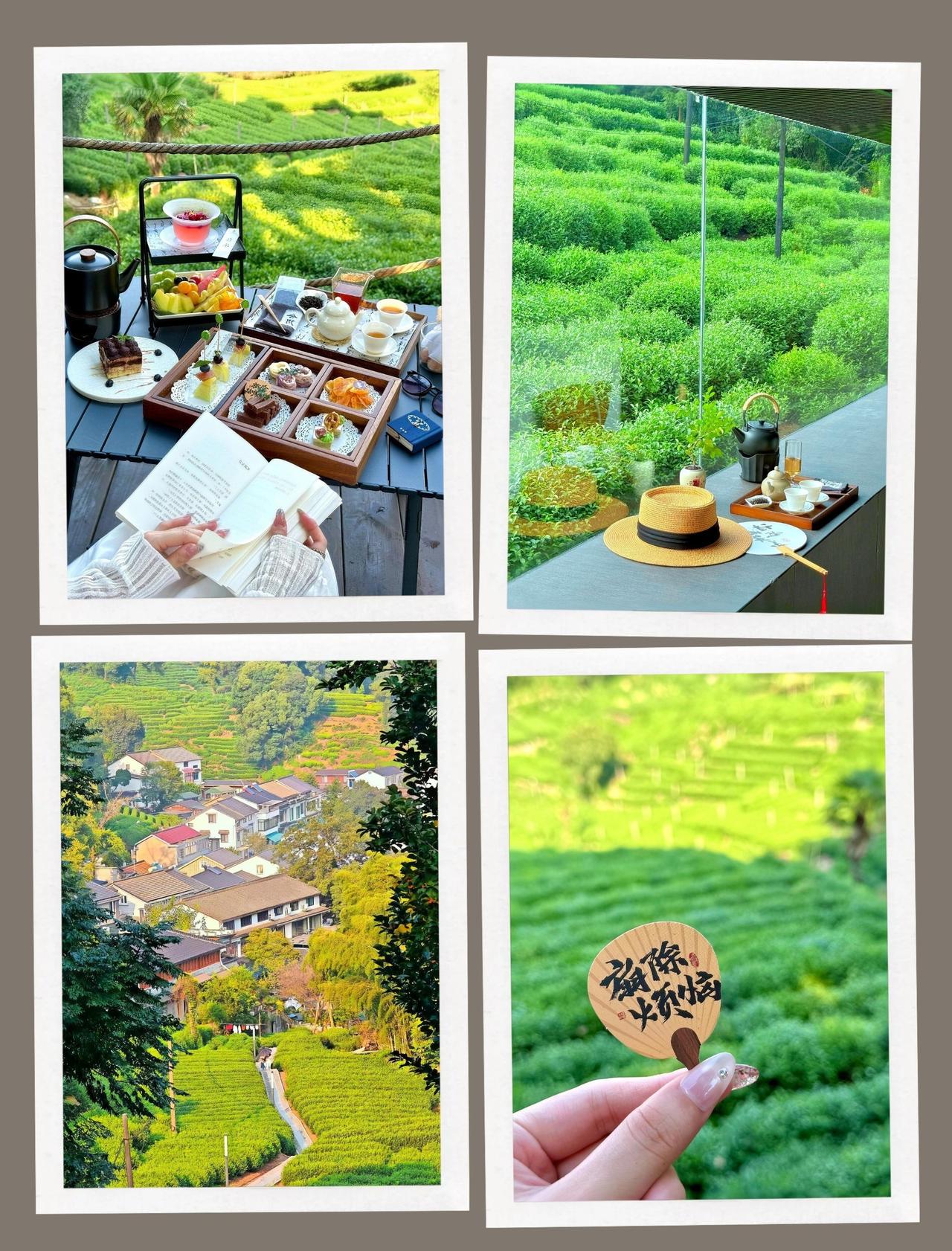 秋风潇潇🍂，10月好天气🔅🌈漫山遍野的茶树🌳🌳放眼望去满目绿色🍀