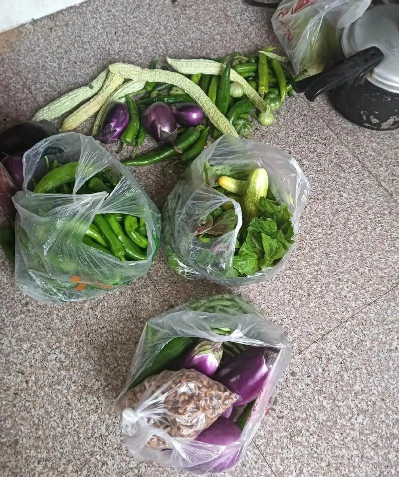 闺女跟我说，她老公公从来不跟她待一屋。昨天去城里给他们送菜，刚坐几分钟，连口水都