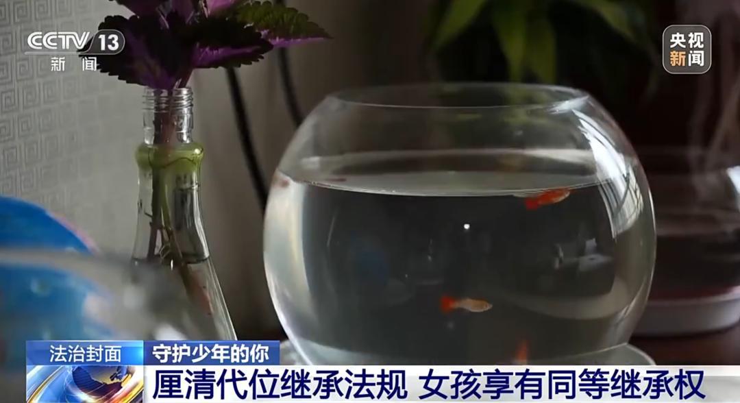 “太让人心疼了！”上海一名13岁女孩接连遭遇家庭重创，父母离异后她跟着父亲