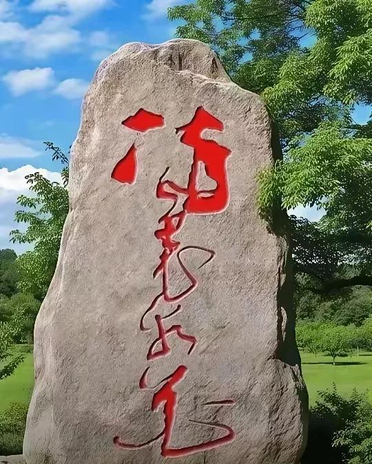 这字漂亮，应该是草书书法作品的精华，笔画粗细讲究，潇洒自如，笔锋细微，湖光水色有
