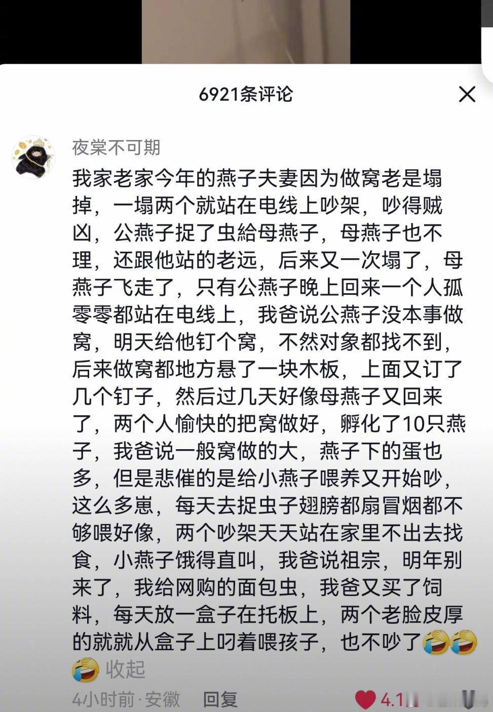 时代在进步，燕子也住上商品房了​​​