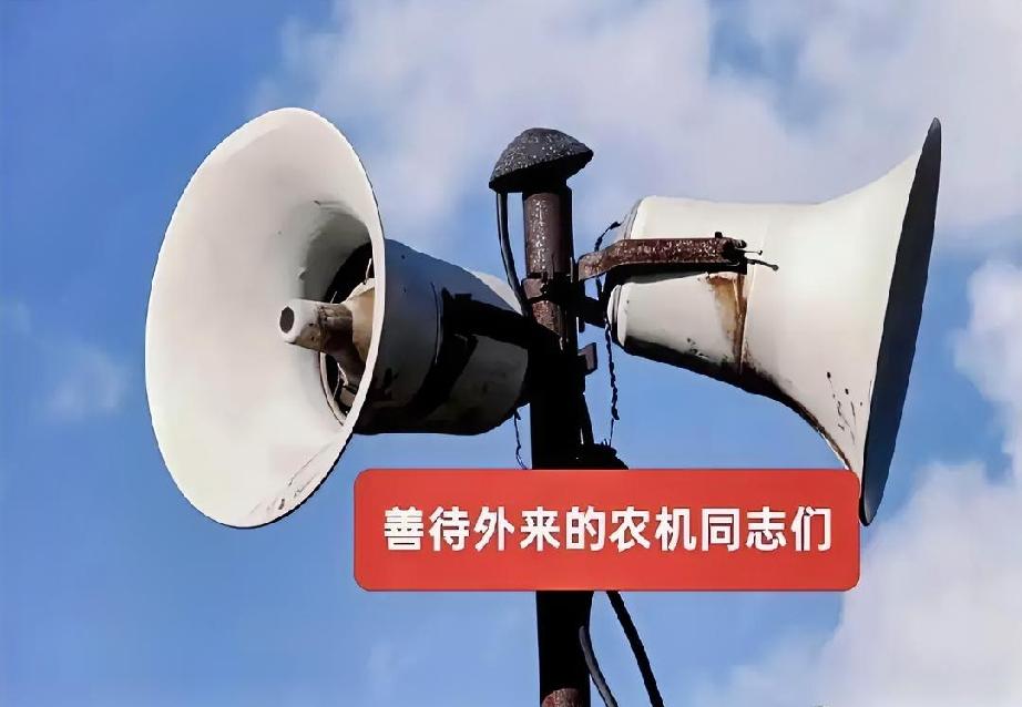 麦子刚熟透，村口的大喇叭突然“刺啦”一声，炸了。“都听清了！谁家要是敢跟收割