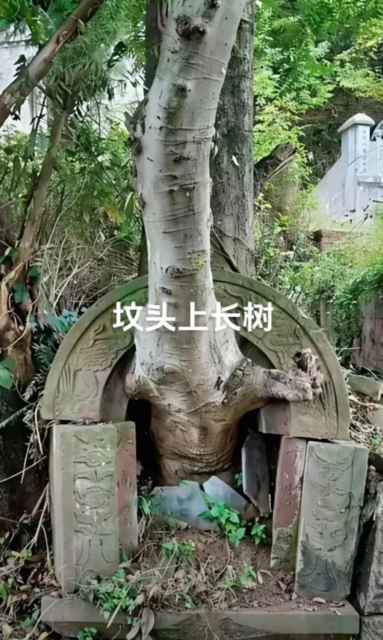 风水大师看一看这样是好还是坏事