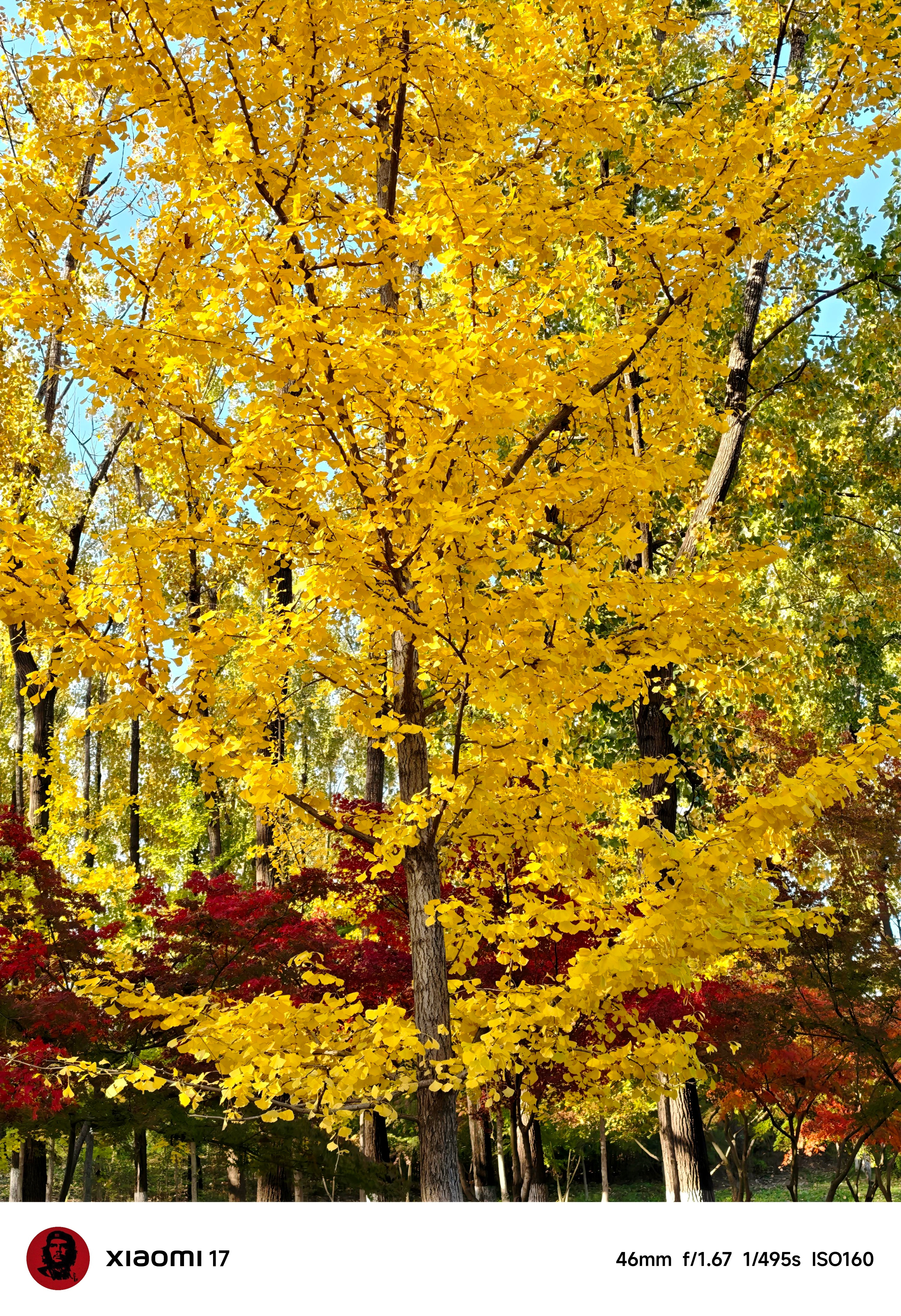 周末，必须亲近一下大自然～​​​