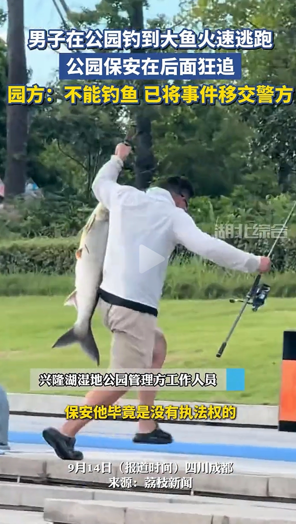 成都兴隆湖这幕太戏剧性了！男子禁钓区钓上大鱼，不欣喜反而拎鱼狂奔，保安在后面追，场面让人哭笑不得。事