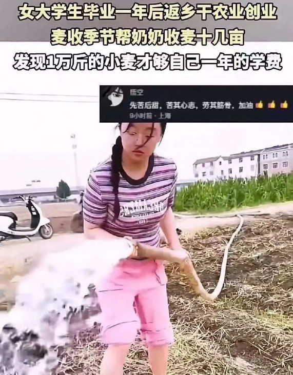 泪目了！女大学生帮奶奶割麦子，边割边哭，奶奶心疼的以为是累了，忙让孙女去休息，孙