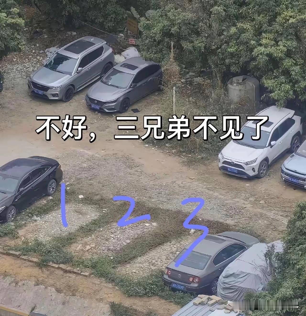 放心，一周后就回来了