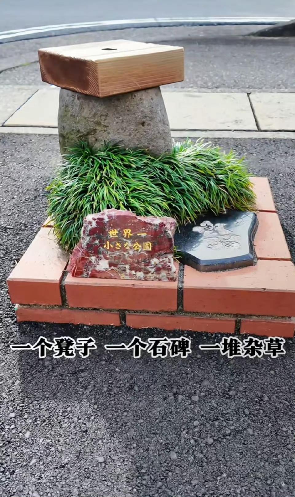 这是日本人花费250万日元申请的吉尼斯“世界最小公园”……成都随便找个路边绿化