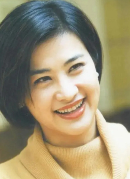 2000年，凤凰卫视主持人吴小莉为了了却父亲心愿，到浙江寻找同父异母的哥哥，不料