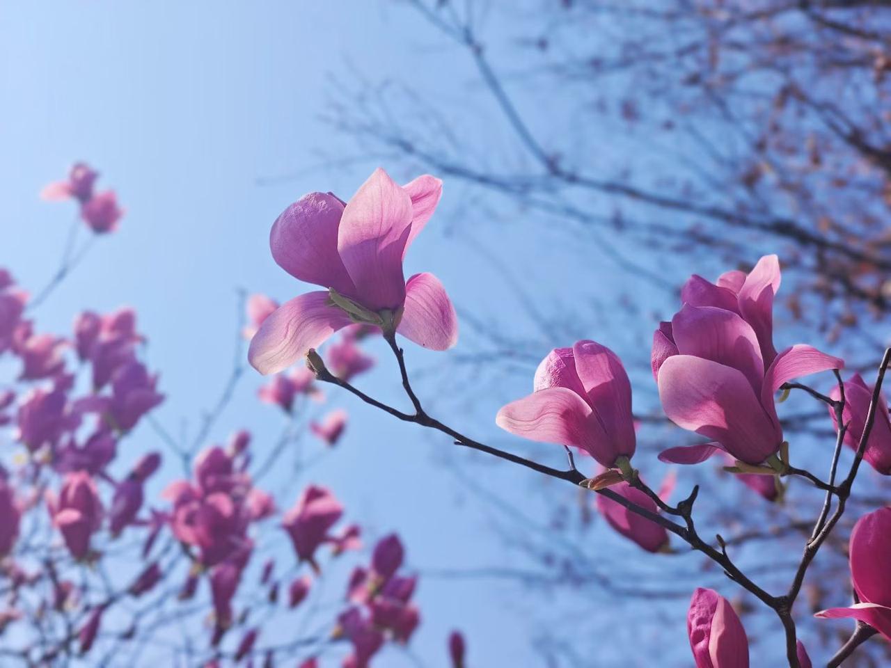 在单位过了50岁以后，一定要记住这三条原则。1、放弃无效的社交，专注自己的心