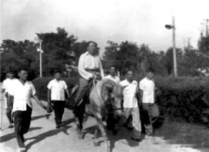 1964年夏，71岁的毛泽东在北戴河休养，为筹备骑马考察黄河的计划，特意调来军马