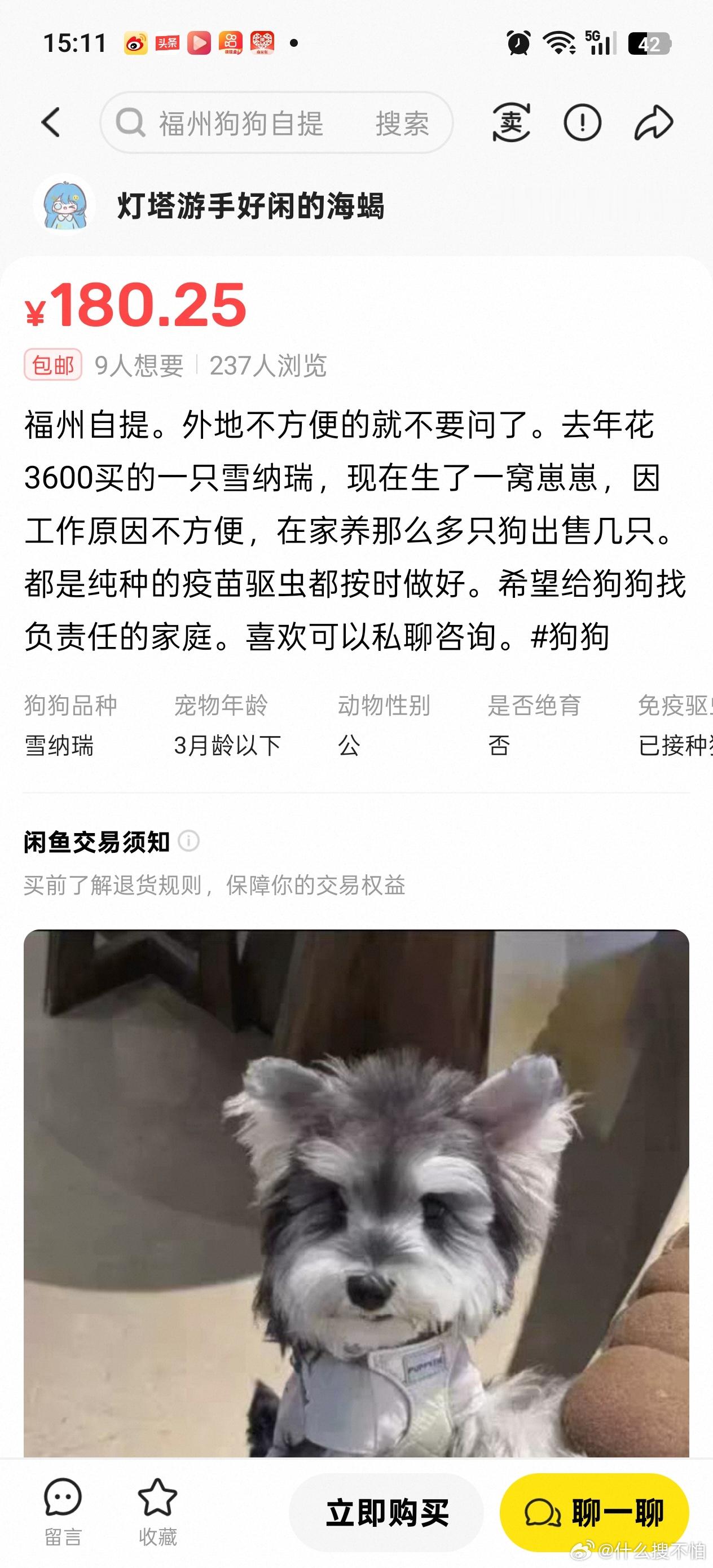 昨天家里猫咪突然找不到了，一大早到处都看不见它，心里空落落的特别难受。情绪有点低落，就打开闲鱼随便翻