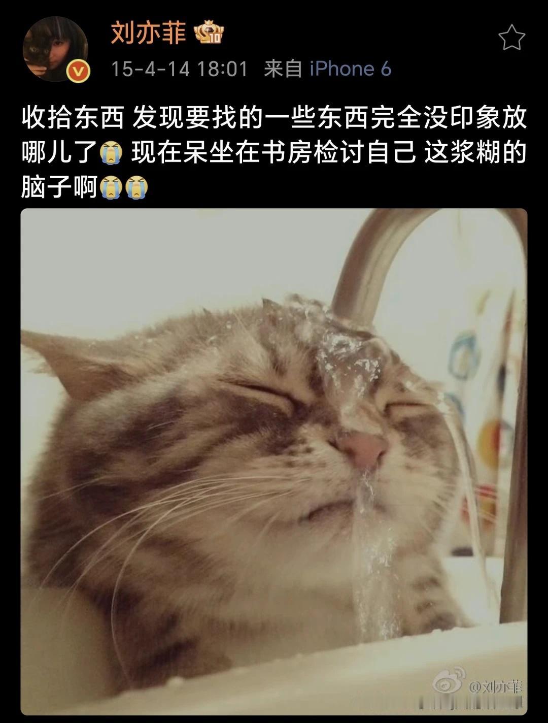 给大家分享茜茜有趣的微博吧[比心]