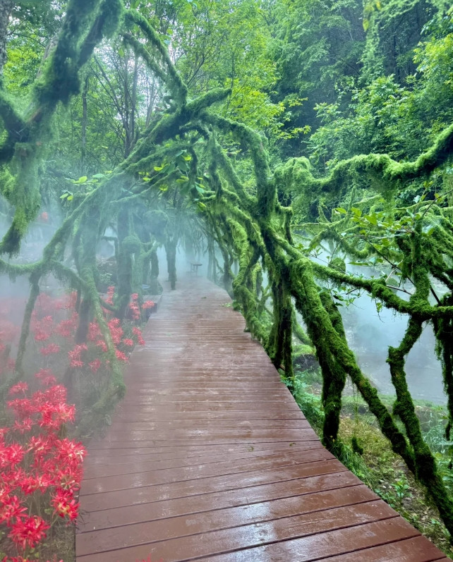 藏不住了‼️发现河南私藏绿野仙踪瀑布秘境