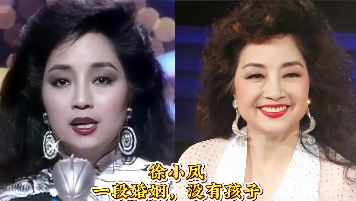 演技好没有子女的明星徐小凤，华语乐坛的传奇人物，以其独特的嗓音和舞台魅力著称。