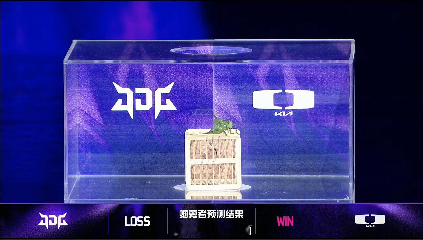 整尬的！如何评价亚洲邀请赛的预测嘉宾-蝈勇者亚洲邀请赛蝈勇者蝈勇者英雄联盟S