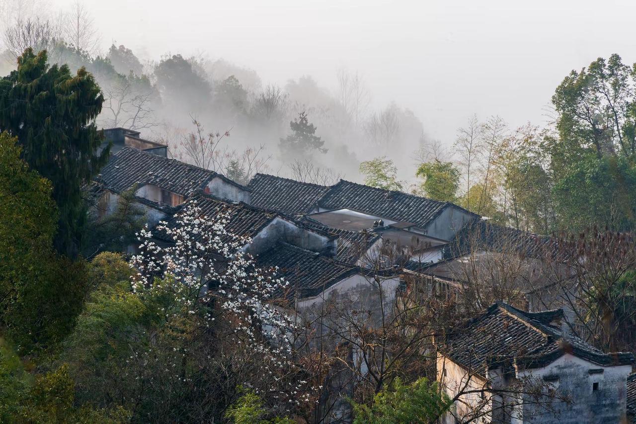 歙县石潭村。歙县石潭村旅行摄影的诗意瞬间