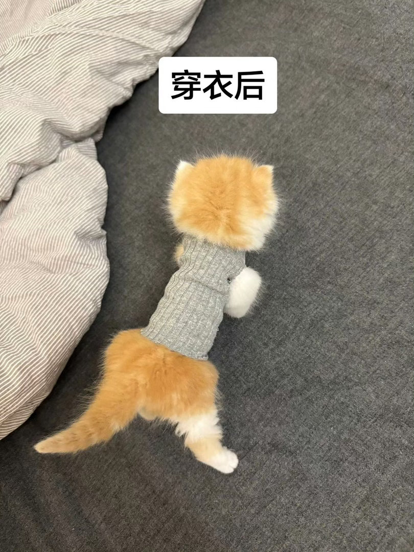 这紧身衣穿的没谁了小猫真正的穿衣显瘦爆笑段子研究所