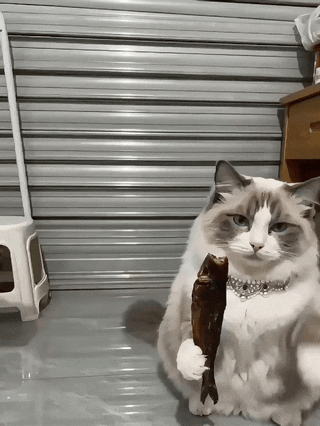 自从有了AI脑子都不好使了