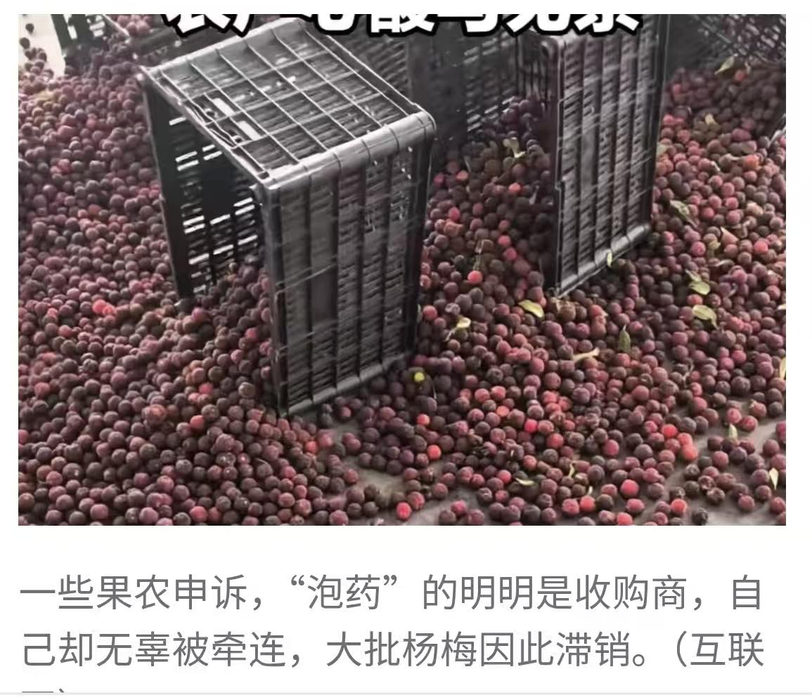 都在喊冤，谁来收拾残局？3.15的记忆还历历在目，才过了两个月，“毒杨梅