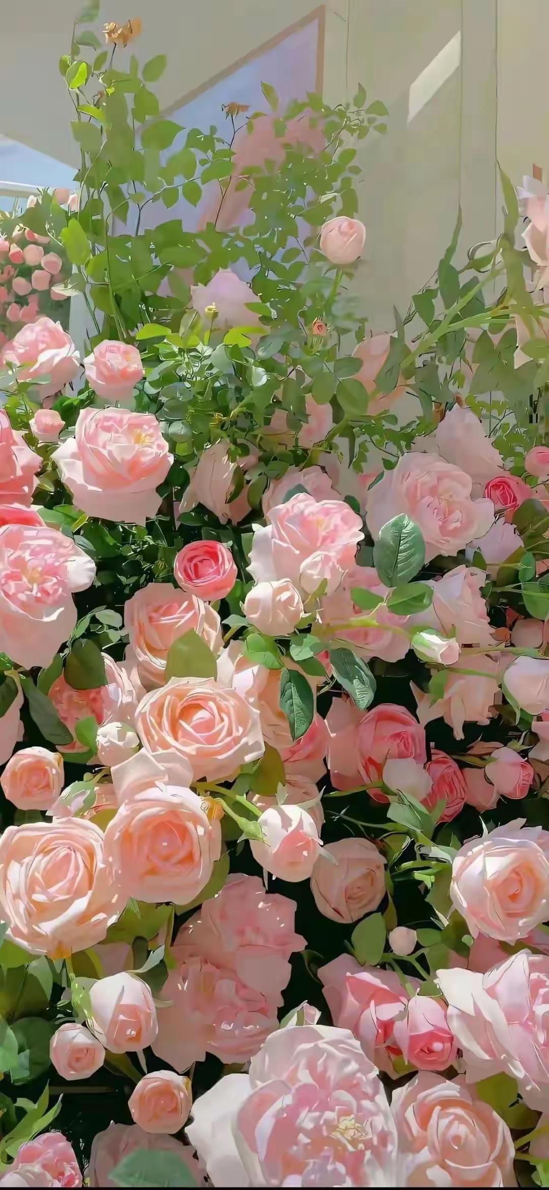 在广袤的江湖中，有一本神秘的武学秘籍——《残阳诀》，据说练成此诀者，内力雄浑无匹