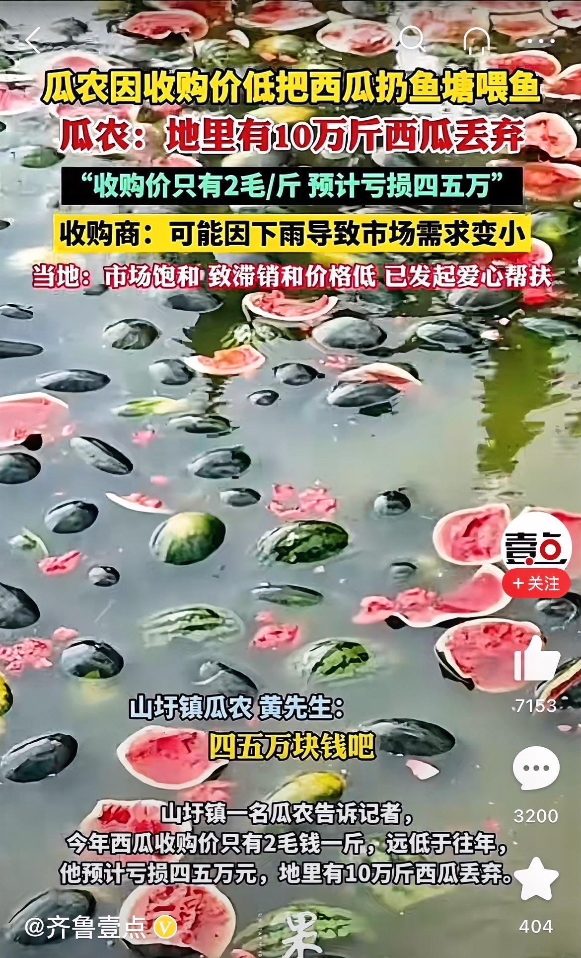 广西山圩镇上了热榜第1名！原因是当地瓜农将10万斤西瓜丢弃喂鱼。这让人多无奈呀