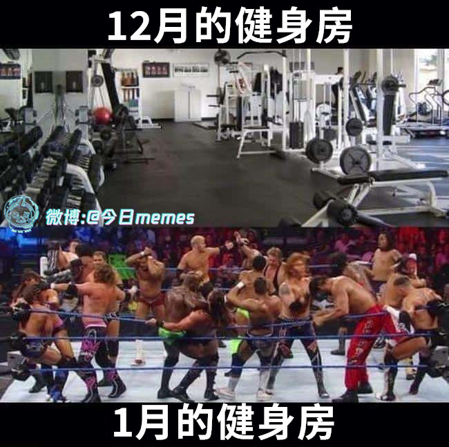 归巢（9gag）今日meme今日memes