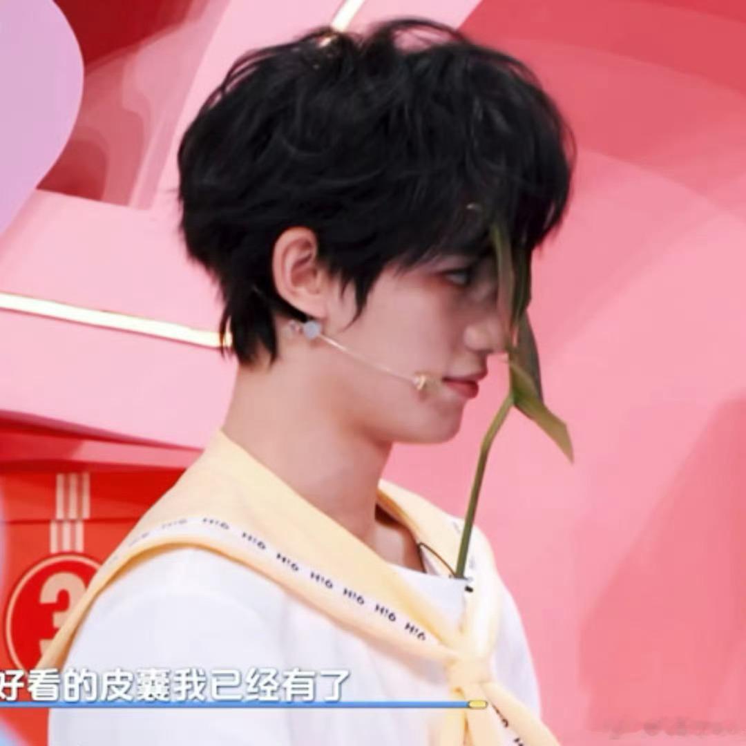 丁程鑫的脸就一片叶子大丁程鑫的脸和叶子一样大丁程鑫的脸是真的小，一片叶子居然就