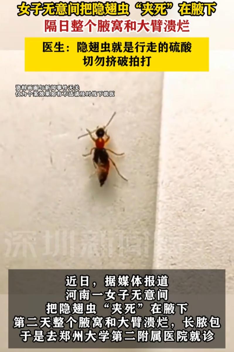 担心的事情还是发生了！河南郑州，女子腋下发痒，使劲一夹发现有个虫子，她也没在意，