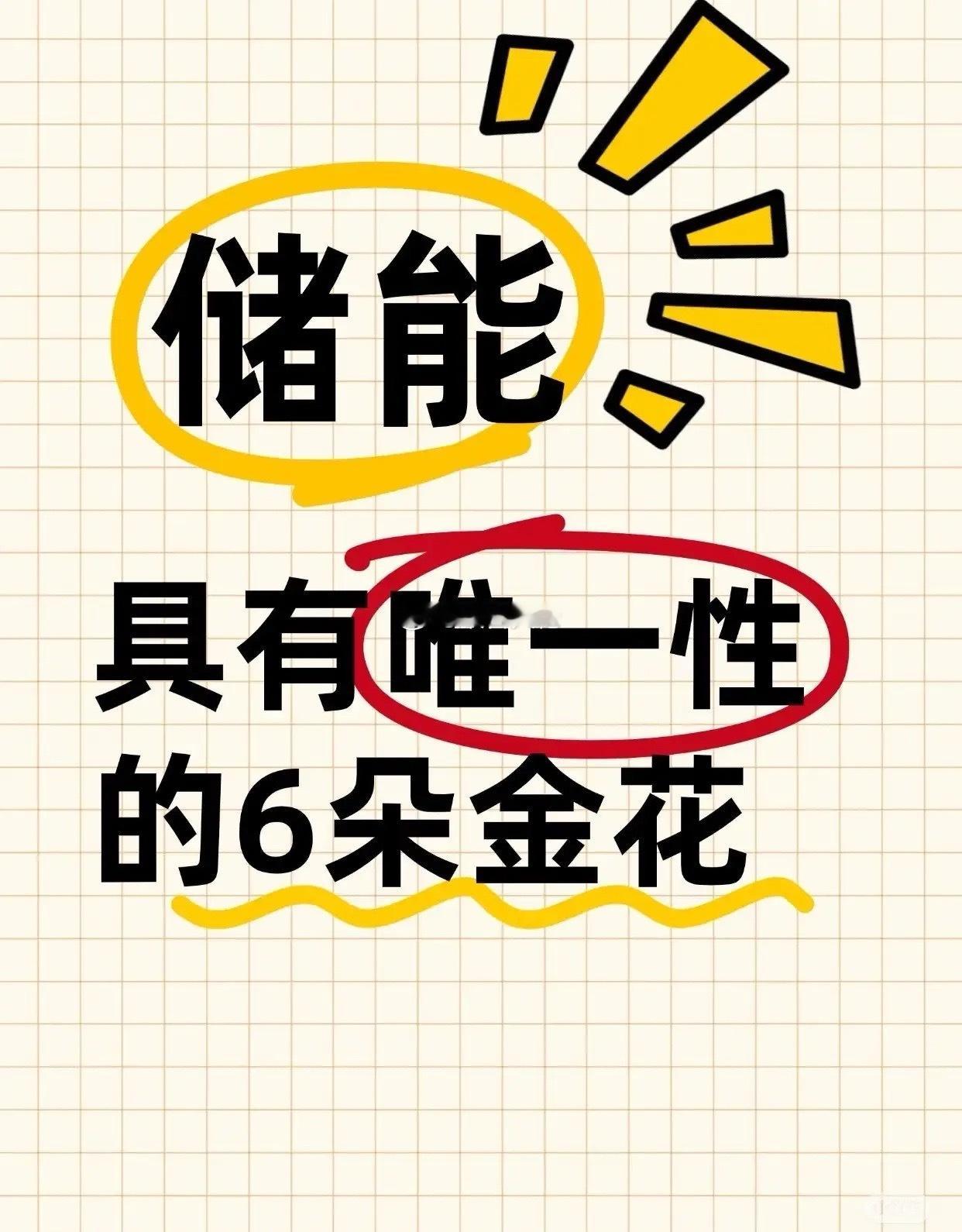储能领域具有唯一性的6朵金花储能领域具有唯一性的6朵金花，它们实力吊打天际，潜力