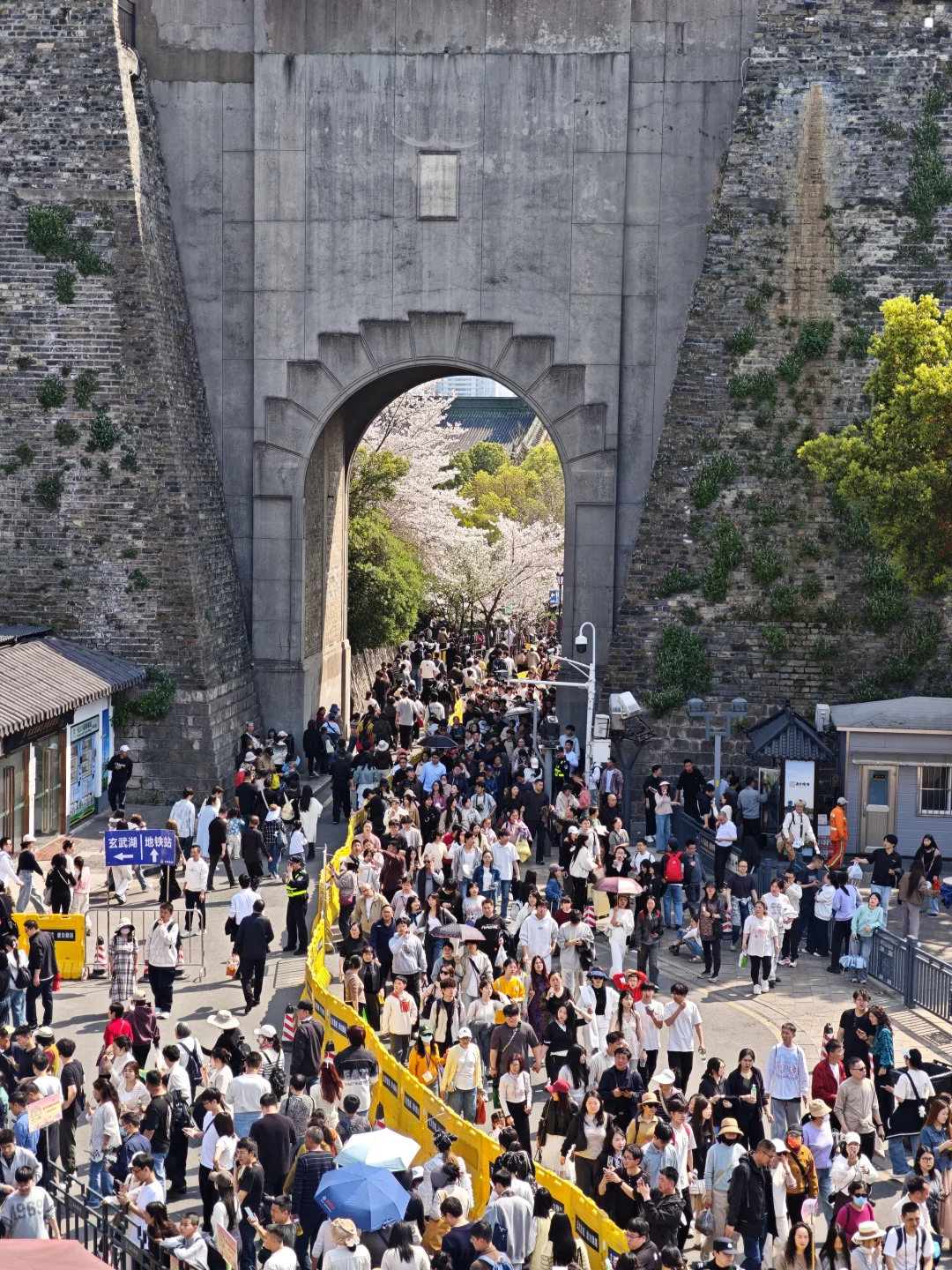 🌸南京春假首日游客大军都在哪？
