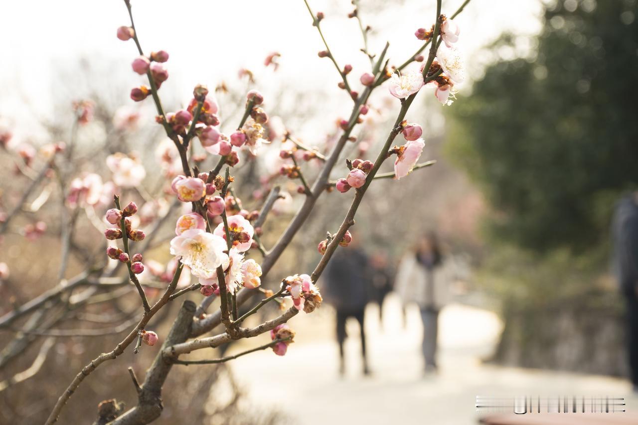奉劝所有父母千万不要过度插手孩子的生活好的别包办坏的别兜底孩子的独立