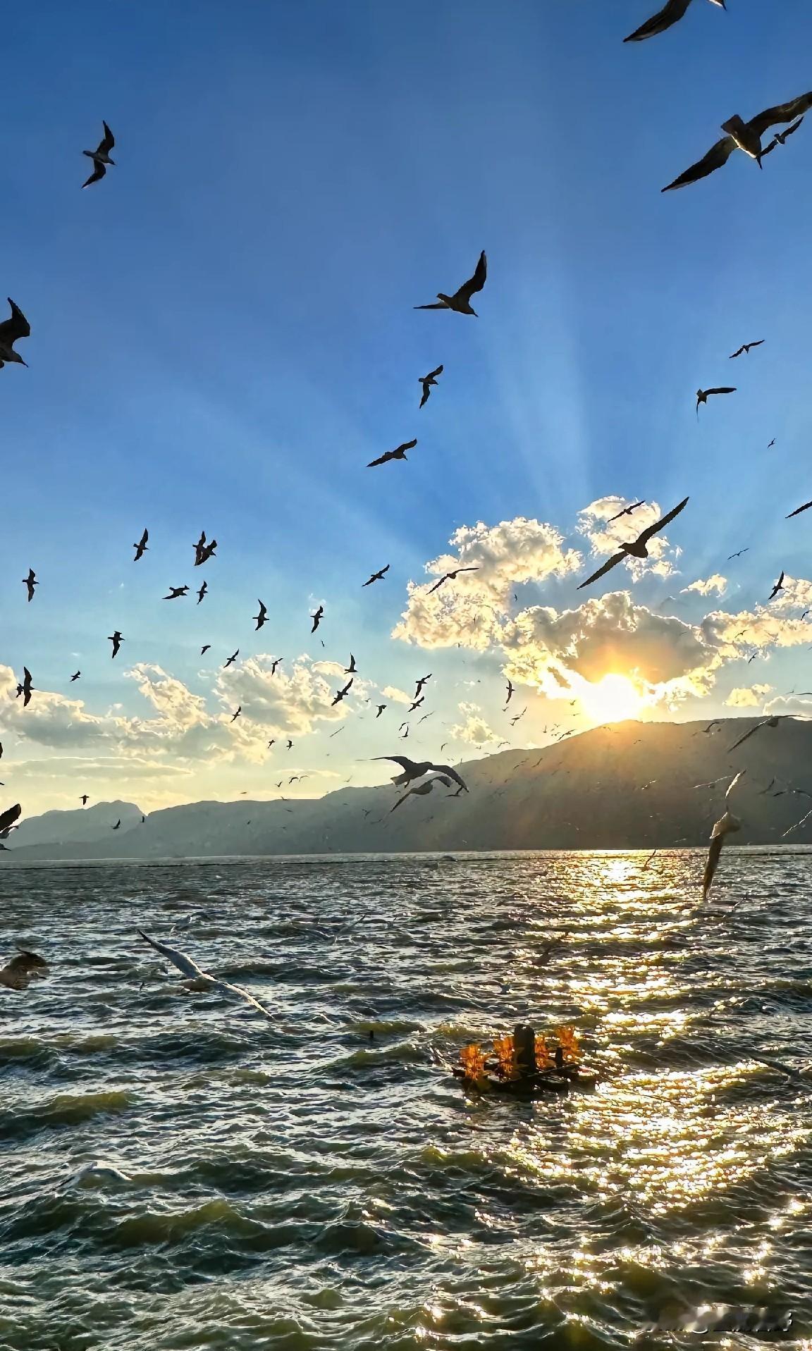 公园美丽景随拍