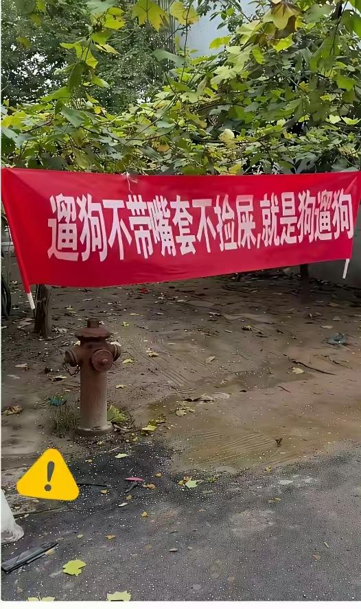 小区横幅骂哭养狗人。一语中的，这标语内容表达非常到位，说出了广大业主心声。这