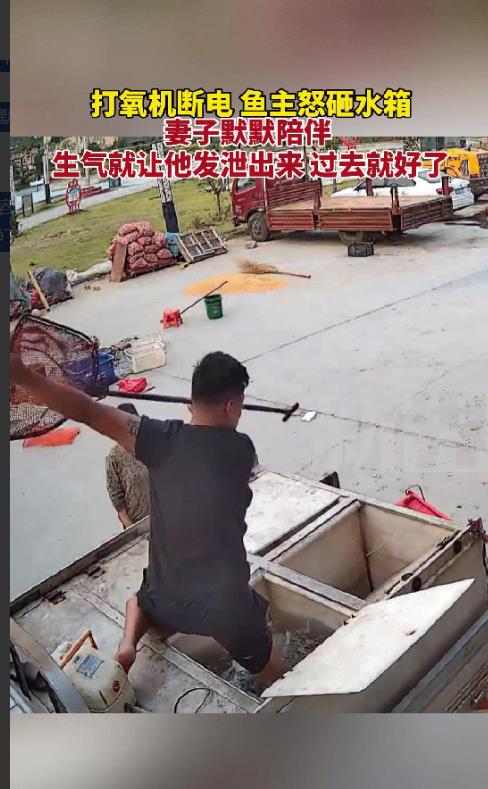 江苏一男子拉了一车鱼回家，不料路上打氧机意外断电，一车鱼因缺氧死了，男子崩溃得怒