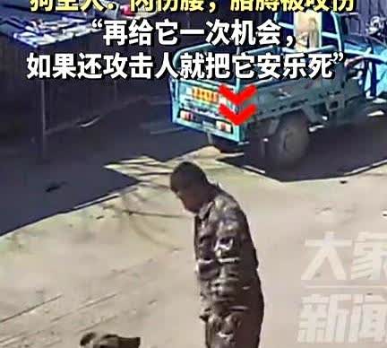 河北一男子养了10年的狗，这天只因男子给了狗的腿上一脚，不料狗却突然恼羞成怒的跳