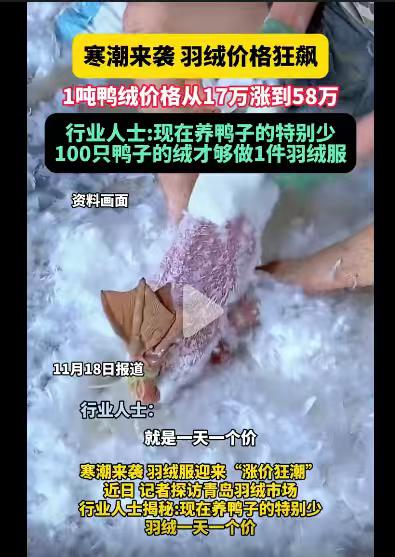 今年冬天冷不冷，我不知道，但是，今年冬天的羽绒服估计要涨价。最近，有人发视频