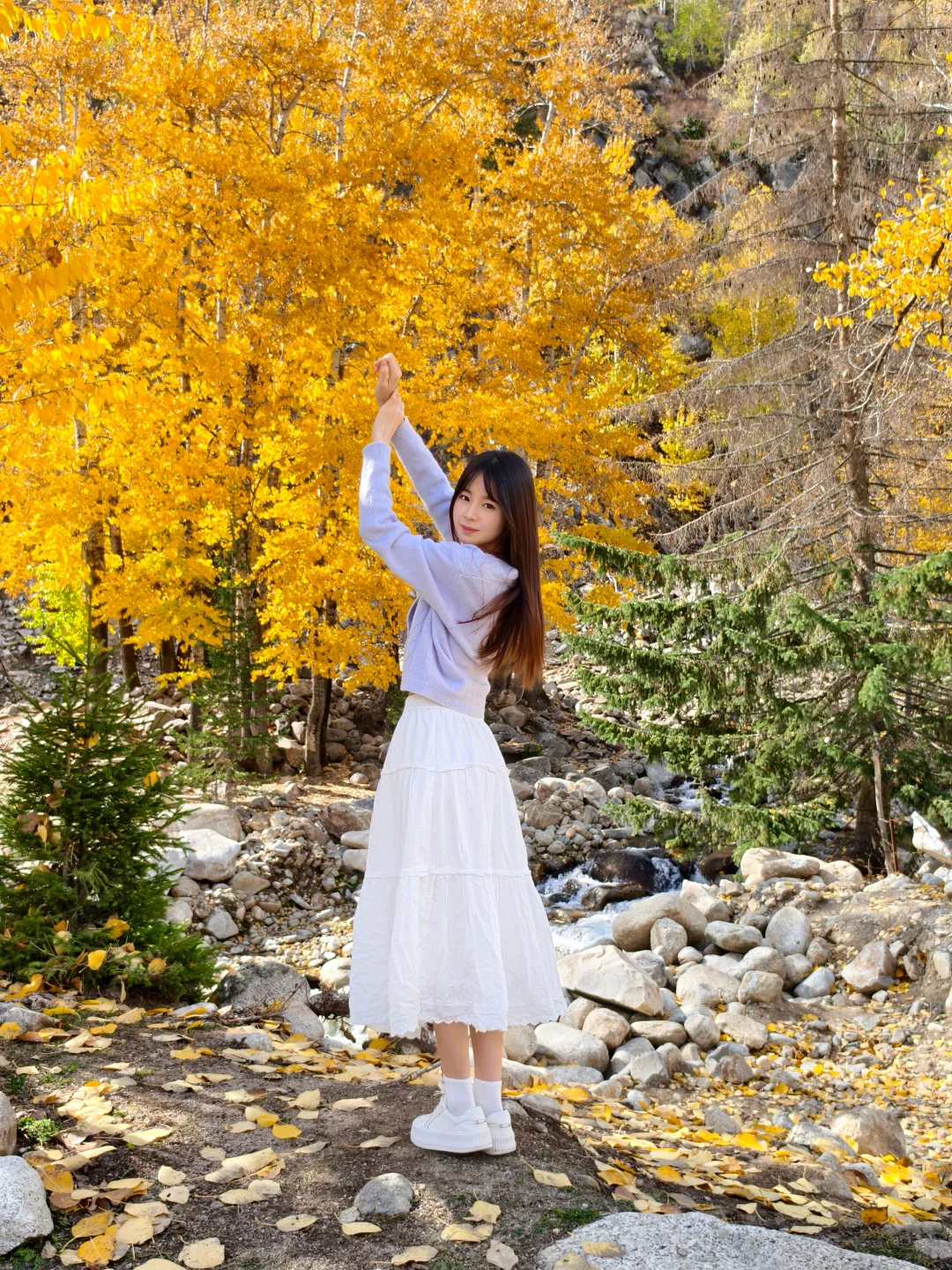 阿勒泰的秋🍂